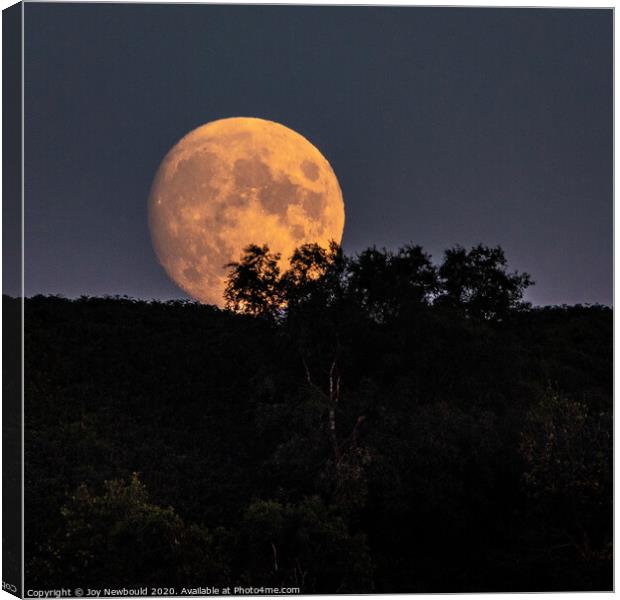 Red Harvest Moon Rising Canvas Print by Joy Newbould