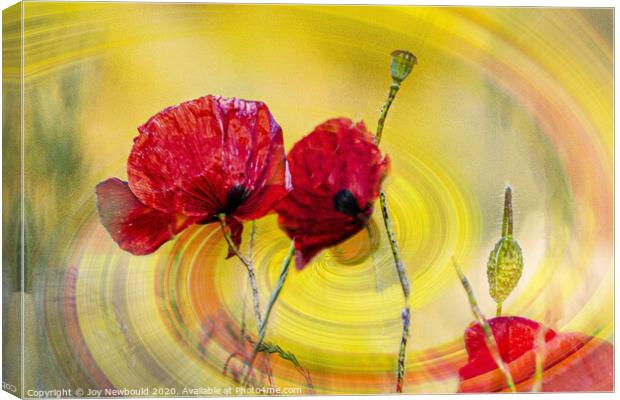 Poppies Digital Art  Canvas Print by Joy Newbould