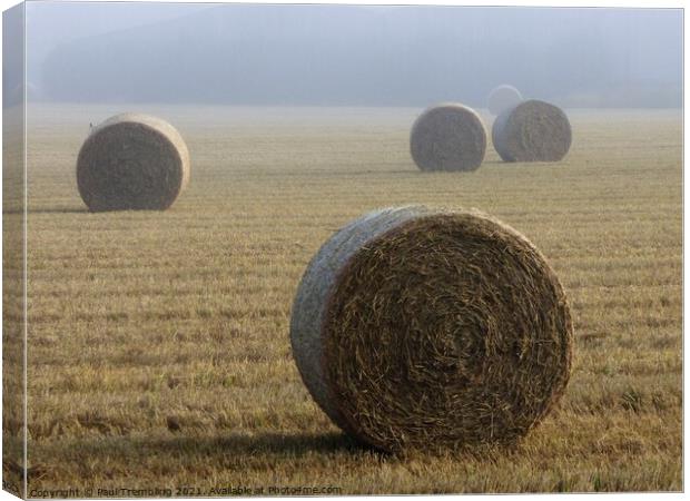 Hay bales in a misty field Canvas Print by Paul Trembling