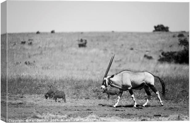 Gemsbok Canvas Print by Karl Daniels