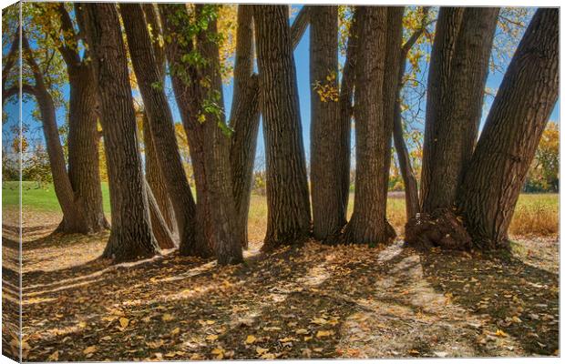 We Stand Together Canvas Print by Jim Hughes