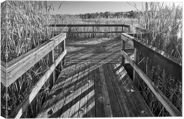 Building corner Canvas Print by Jim Hughes