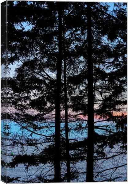The Maine Coast Canvas Print by Jim Hughes
