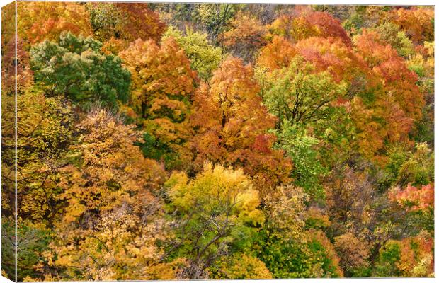 Hillside in fall Canvas Print by Jim Hughes