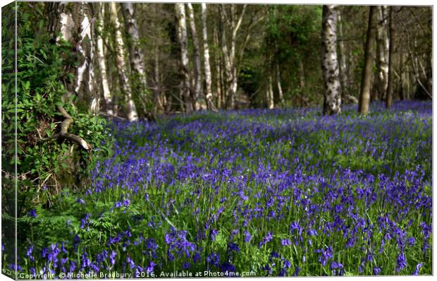 Carpet of Bluebells in Kent Canvas Print by Michelle Bradbury