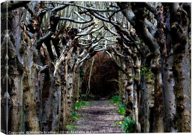 Woodland Path Canvas Print by Michelle Bradbury