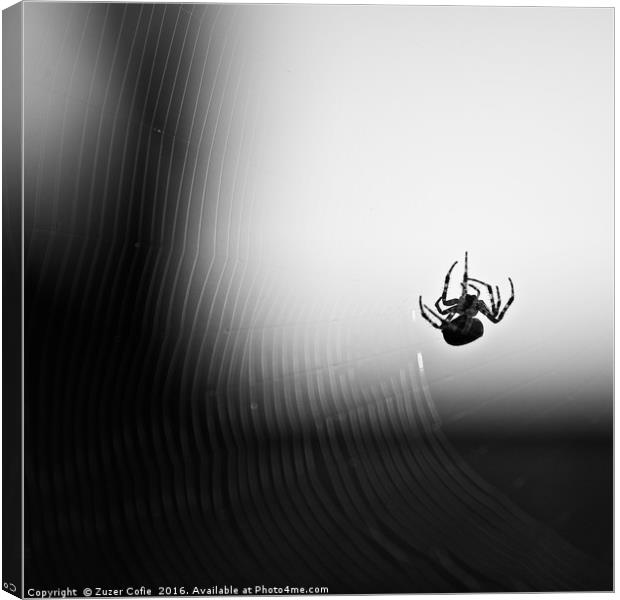 Spider And Web Canvas Print by Zuzer Cofie