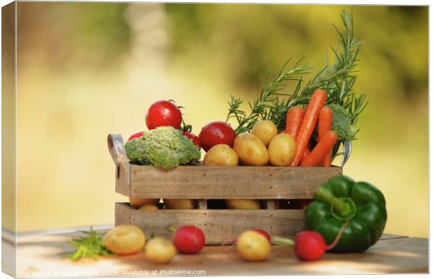 Freshly filled vegetable box on the table Canvas Print by Tanja Riedel