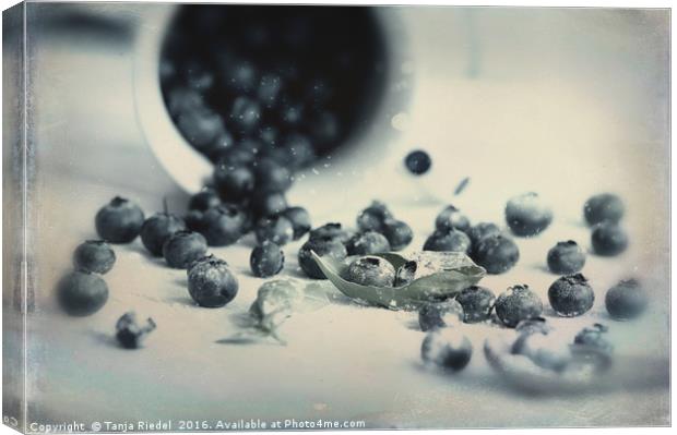 Blueberries in Design Canvas Print by Tanja Riedel