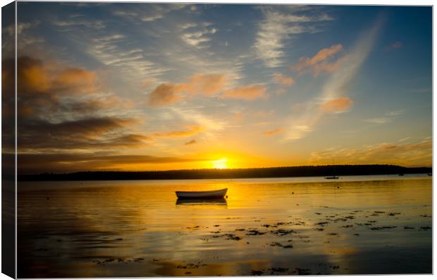 Findhorn sunset Canvas Print by Tony Bishop