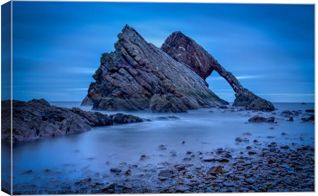 Bow Fiddle Rock - Portknockie Canvas Print by Tony Bishop