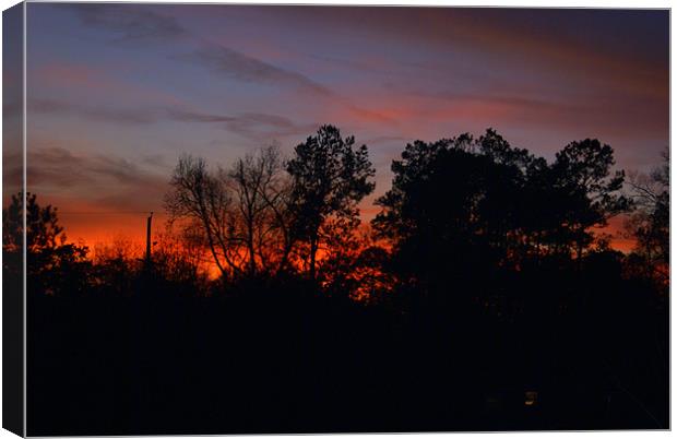 Sunet in Cleveland Texas Canvas Print by Stacey Cook