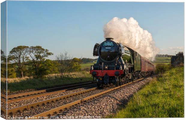 The Flying Scotsman Canvas Print by Robin Purser