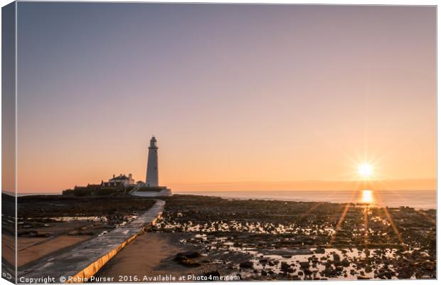 Sunrise at St Mary's Lighthouse Canvas Print by Robin Purser