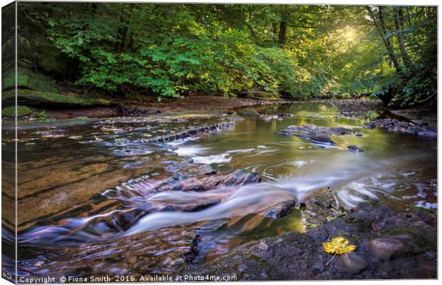 Autumnal Beginnings Canvas Print by Fiona Smith