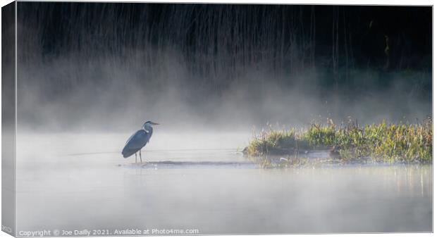Heron on a mist Loch Canvas Print by Joe Dailly
