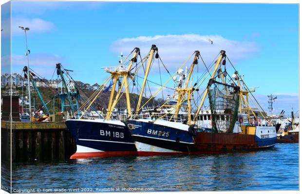 Brixham Fishing Boats Canvas Print by Tom Wade-West