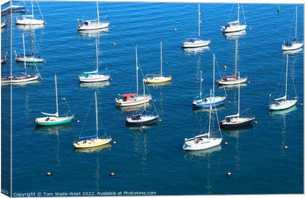 Sailing boats in Brixham Harbour  Canvas Print by Tom Wade-West