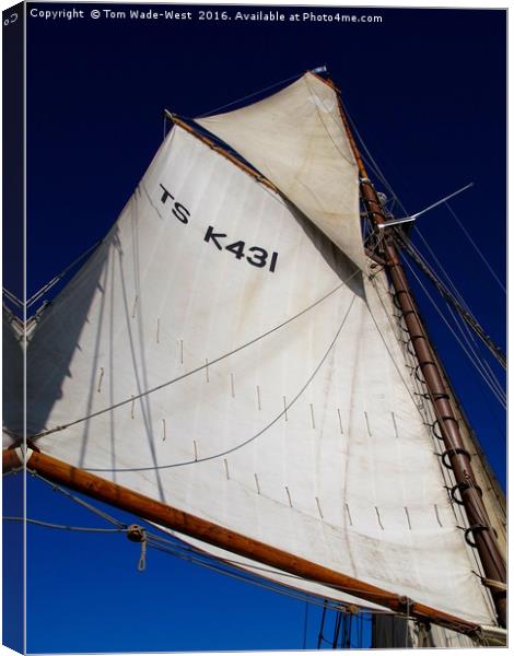 Queen Galadriel's Mainmast Canvas Print by Tom Wade-West