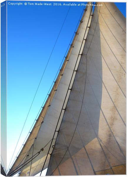 Headsails Canvas Print by Tom Wade-West