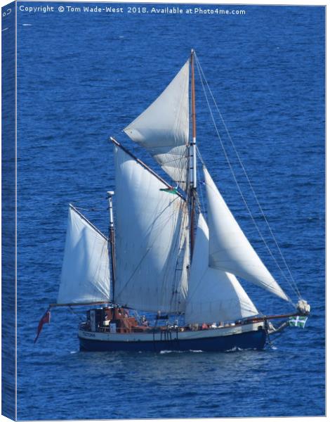Gaff-Rigged Ketch Tectona sailing in Torbay Canvas Print by Tom Wade-West