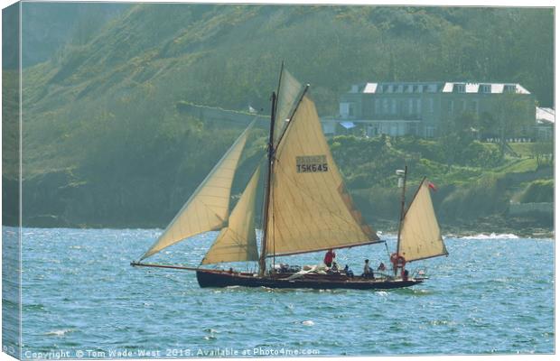 Moosk passing Berry Head Hotel Canvas Print by Tom Wade-West