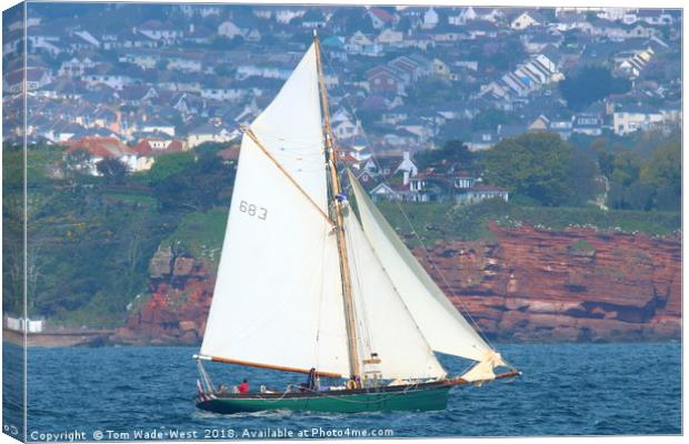 Pegasus sailing in Torbay Canvas Print by Tom Wade-West