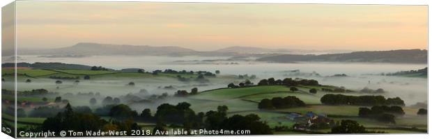 Misty Monmouthshire Morning Canvas Print by Tom Wade-West