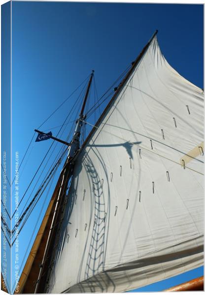 Sail and Rigging of Brixham Trawler 'Leader' Canvas Print by Tom Wade-West