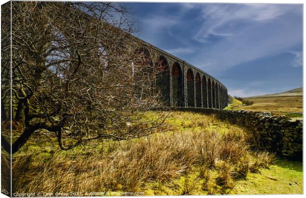 The Ribblehead Viaduct Canvas Print by Colin Green