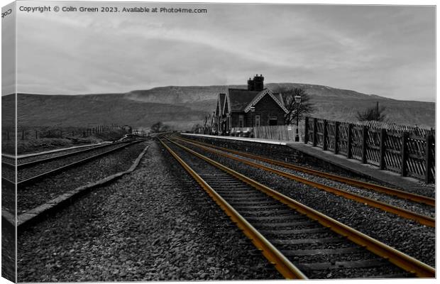 Rusty Rails at Ribblehead Station Canvas Print by Colin Green