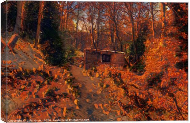 The Shack Canvas Print by Colin Green