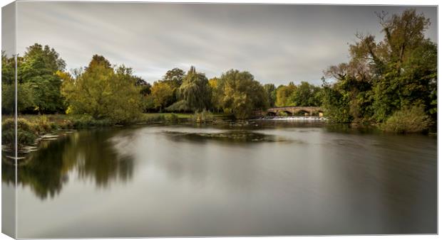 Autumn Parkland Canvas Print by Chris Rafferty