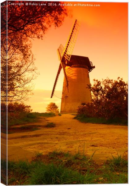 Sunset over Bidston Hill Canvas Print by Robin Lane