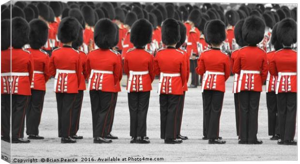The Queens Guard Canvas Print by Brian Pearce