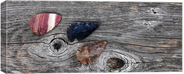 Three Native American arrowheads on rustic wood  Canvas Print by Thomas Baker