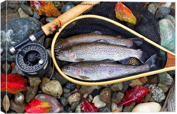 Autumn Trout Fishing  Canvas Print by Thomas Baker