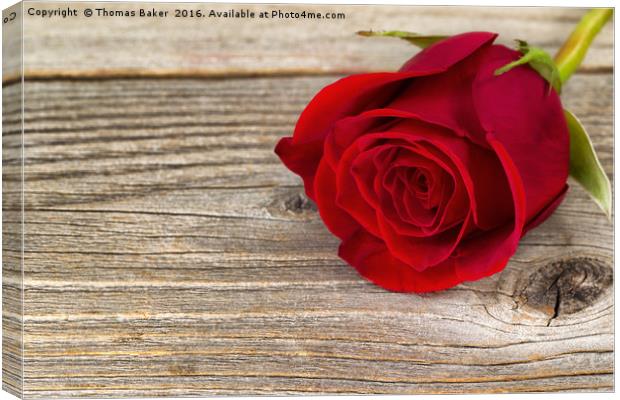 Single freshly cut red rose on rustic wood  Canvas Print by Thomas Baker