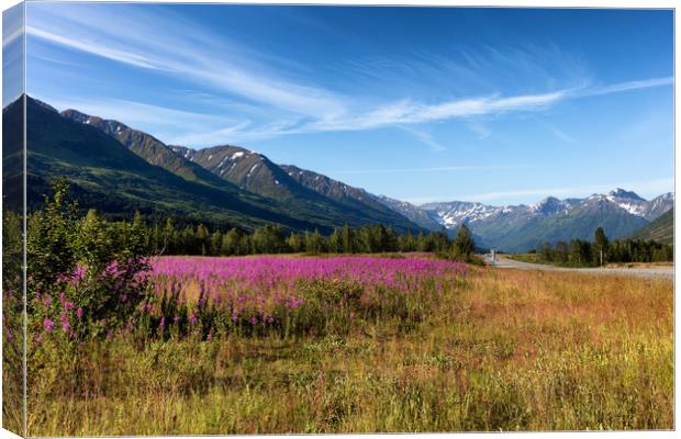 Wild flowers with mountains and forest in backgrou Canvas Print by Thomas Baker