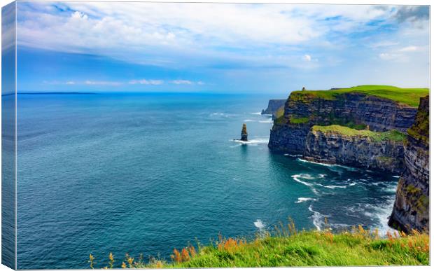 Cliffs of Moher in Ireland Europe  Canvas Print by Thomas Baker