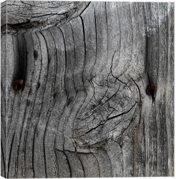 Aged wood texture background in filled frame forma Canvas Print by Thomas Baker