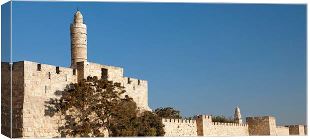 david tower in jerusalem, Israel Canvas Print by sharon hitman