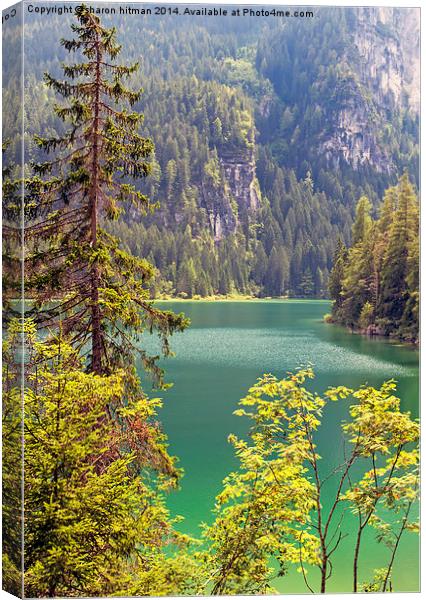  lake tovel in the dolomites, italy  Canvas Print by sharon hitman