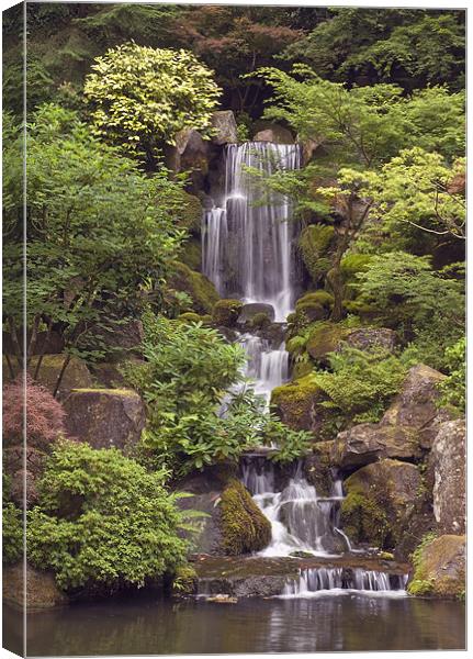 japanese garden waterfall Canvas Print by sharon hitman