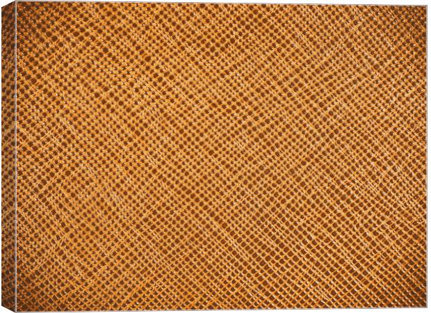Vintage Natural Brown Leather Texture Background Canvas Print by Radu Bercan