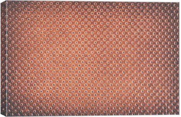 Vintage Natural Brown Leather Texture Background Canvas Print by Radu Bercan