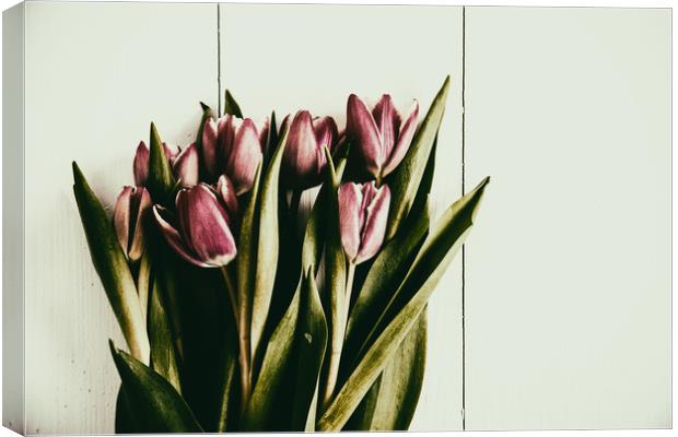 Red Spring Tulips On Wood Table Canvas Print by Radu Bercan