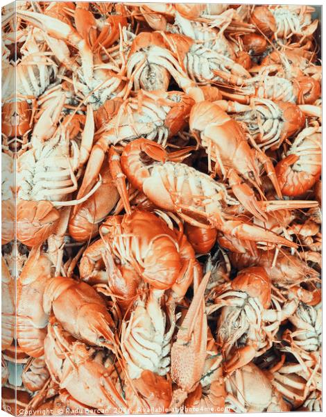 Lobsters For Sale In Fish Market Canvas Print by Radu Bercan