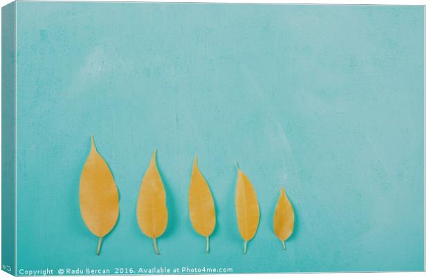 Yellow Autumn Leaves On Turquoise Wood Table Canvas Print by Radu Bercan