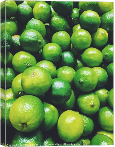 Lime Citrus Fruits In Fruit Market Canvas Print by Radu Bercan